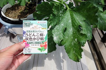 f:id:haruirosoleil:20200620203132j:plain