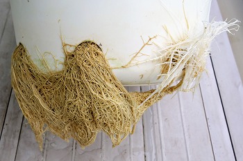 f:id:haruirosoleil:20200713211340j:plain