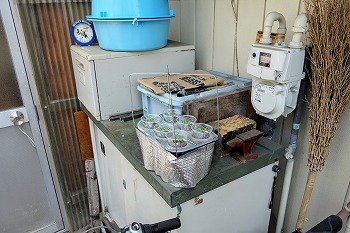 f:id:haruirosoleil:20210411180312j:plain