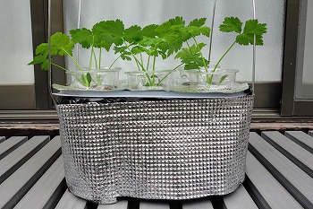 f:id:haruirosoleil:20210509175837j:plain