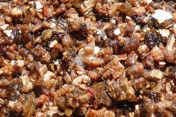 f:id:haruirosoleil:20210530175200j:plain