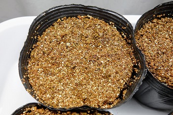 f:id:haruirosoleil:20210530175511j:plain