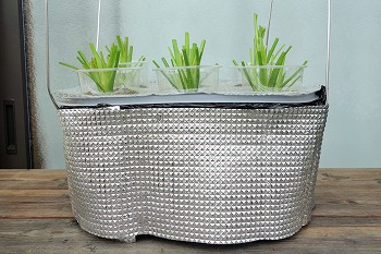 f:id:haruirosoleil:20210611195357j:plain