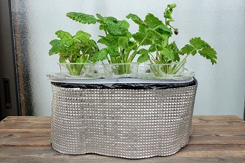 f:id:haruirosoleil:20210619181928j:plain