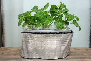 f:id:haruirosoleil:20210626213920j:plain