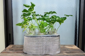 f:id:haruirosoleil:20210730214107j:plain