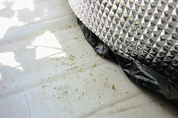 f:id:haruirosoleil:20210730214134j:plain