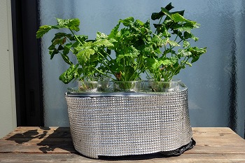 f:id:haruirosoleil:20210801210949j:plain