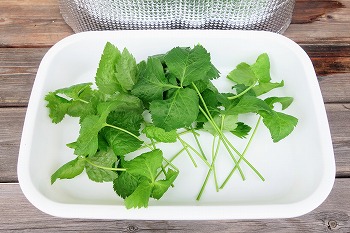 f:id:haruirosoleil:20210813193259j:plain