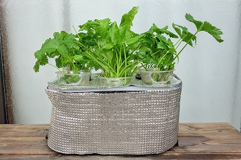 f:id:haruirosoleil:20210813201032j:plain