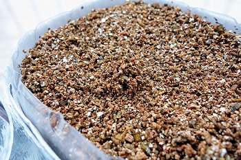 f:id:haruirosoleil:20210822074447j:plain