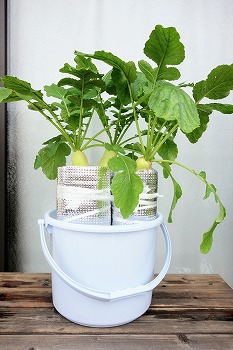 f:id:haruirosoleil:20210926143049j:plain