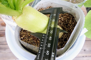 f:id:haruirosoleil:20210926143100j:plain