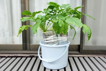 f:id:haruirosoleil:20211014051819j:plain