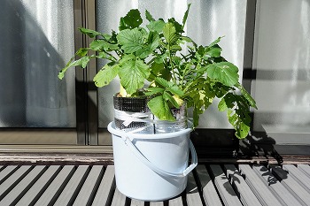 f:id:haruirosoleil:20211028211440j:plain