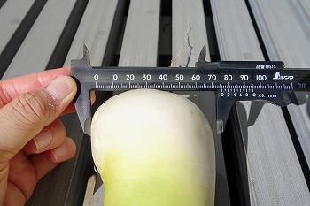 f:id:haruirosoleil:20211028211503j:plain