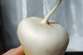 f:id:haruirosoleil:20211028211506j:plain