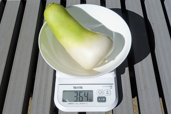 f:id:haruirosoleil:20211028211515j:plain