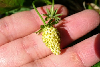 f:id:haruirosoleil:20211211175142j:plain