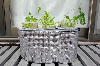 f:id:haruirosoleil:20211213051832j:plain