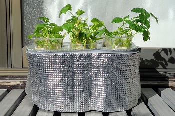 f:id:haruirosoleil:20211227213304j:plain