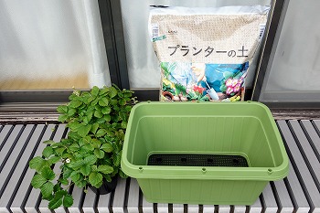 f:id:haruirosoleil:20220109142121j:plain