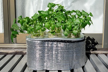 f:id:haruirosoleil:20220109191001j:plain