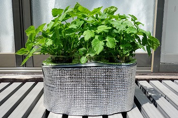 f:id:haruirosoleil:20220409180404j:plain