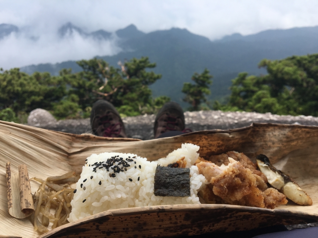 f:id:haruka-kubo33:20180622205810j:plain