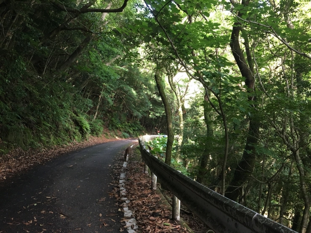 f:id:haruka-kubo33:20180622212308j:plain