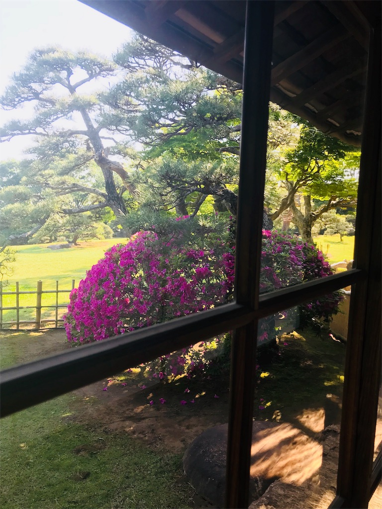 f:id:haruka-momo:20180504182728j:image f:id:haruka-momo:20180504182728j:image