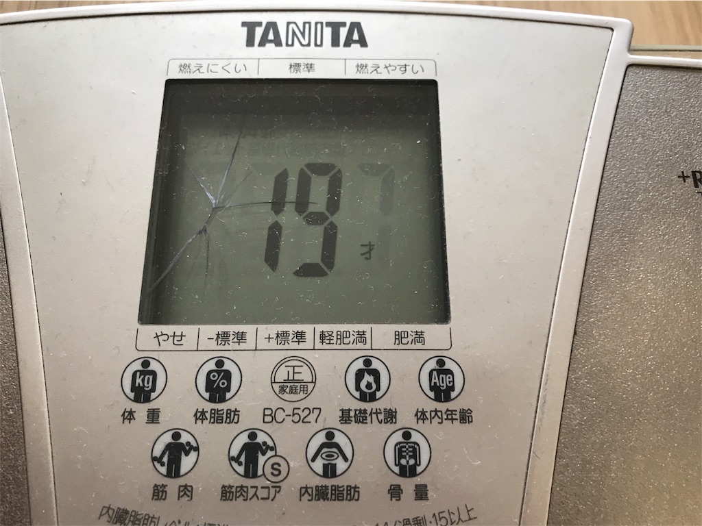 f:id:haruka-momo:20180505083552j:image f:id:haruka-momo:20180505083552j:image