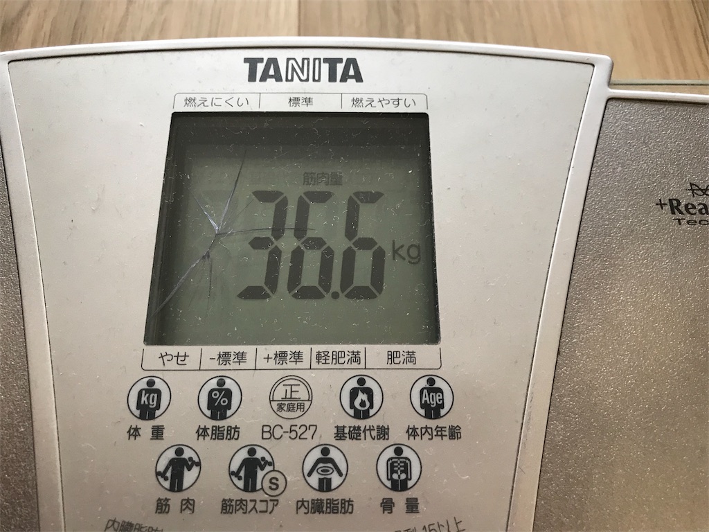 f:id:haruka-momo:20180505083557j:image f:id:haruka-momo:20180505083557j:image