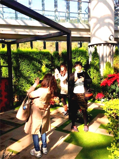 f:id:haruka-sato-chf:20151207231246j:image