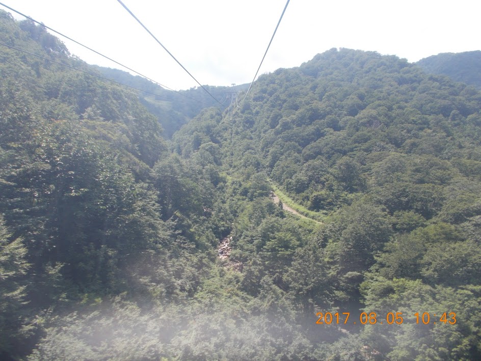 f:id:haruka00069:20170810155118j:plain f:id:haruka00069:20170810155118j:plain