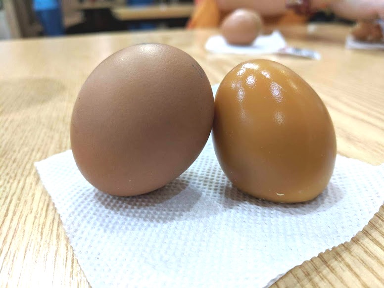 f:id:haruka00069:20180915201422j:plain f:id:haruka00069:20180915201422j:plain