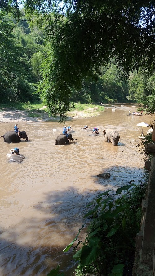 f:id:haruka00069:20190528142418j:plain f:id:haruka00069:20190528142418j:plain