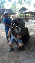 f:id:haruka00069:20190528142648j:plain f:id:haruka00069:20190528142648j:plain