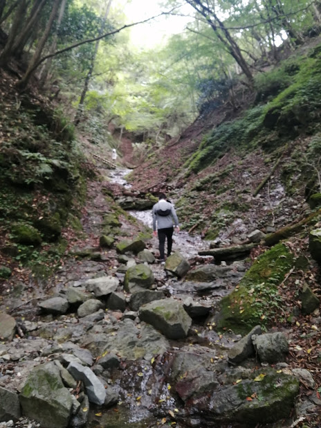 f:id:haruka00069:20200926215525j:plain f:id:haruka00069:20200926215525j:plain