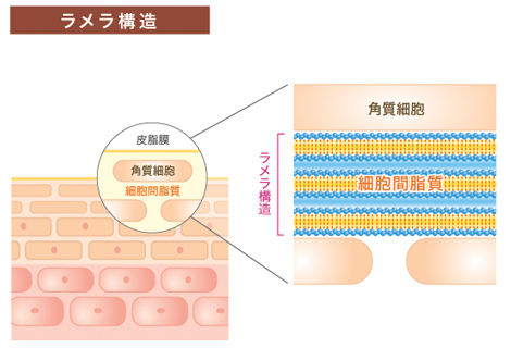 f:id:haruka333888:20191017174436j:plain