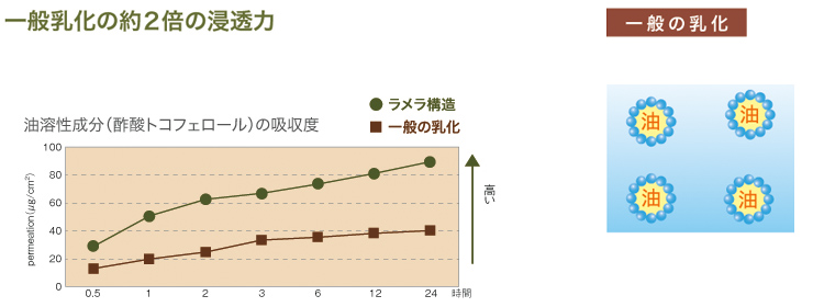 f:id:haruka333888:20191017174600j:plain