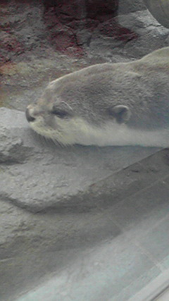 f:id:haruka_nostalgie:20120703011221j:image