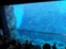 仙台うみの杜水族館