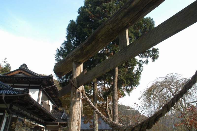 f:id:haruka_nostalgie:20151026123559j:image:w360