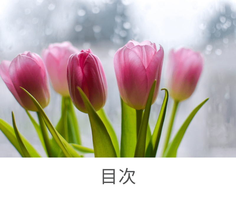 目次