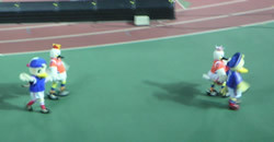 20060730-6.jpg