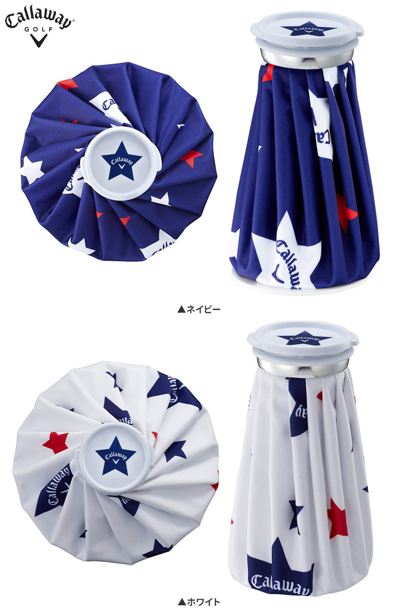 f:id:harukazepc:20200311163821j:image:w650