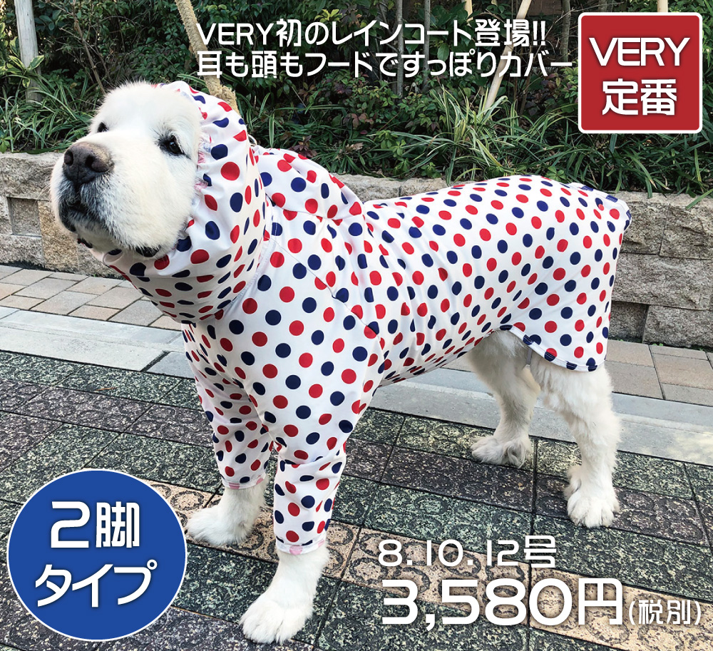f:id:harukazepc:20200626183116j:image:w650 f:id:harukazepc:20200626183116j:image:w650