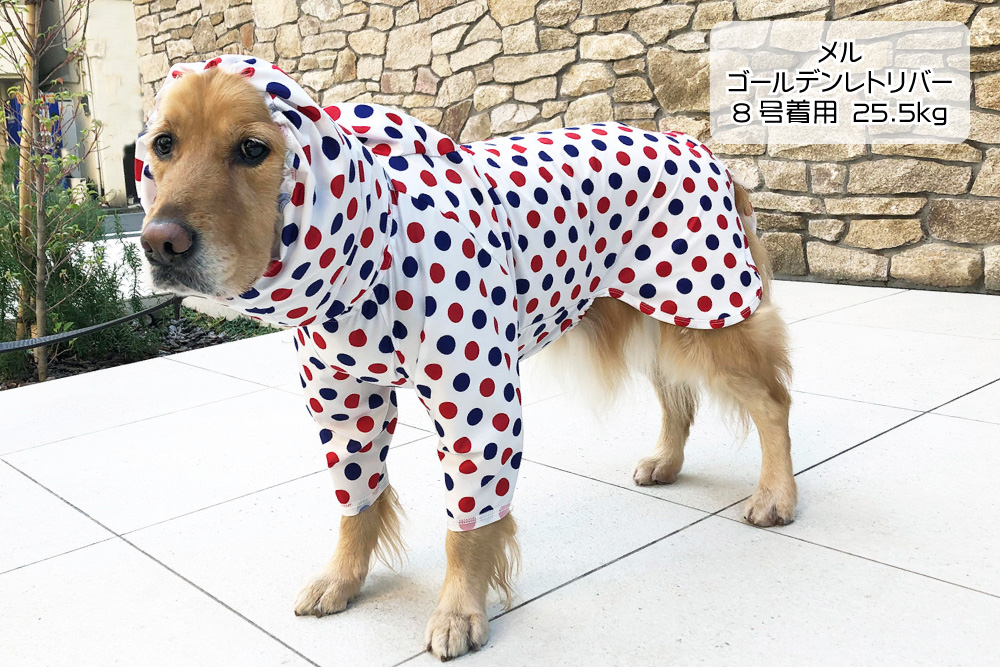f:id:harukazepc:20200626183121j:image:w650 f:id:harukazepc:20200626183121j:image:w650