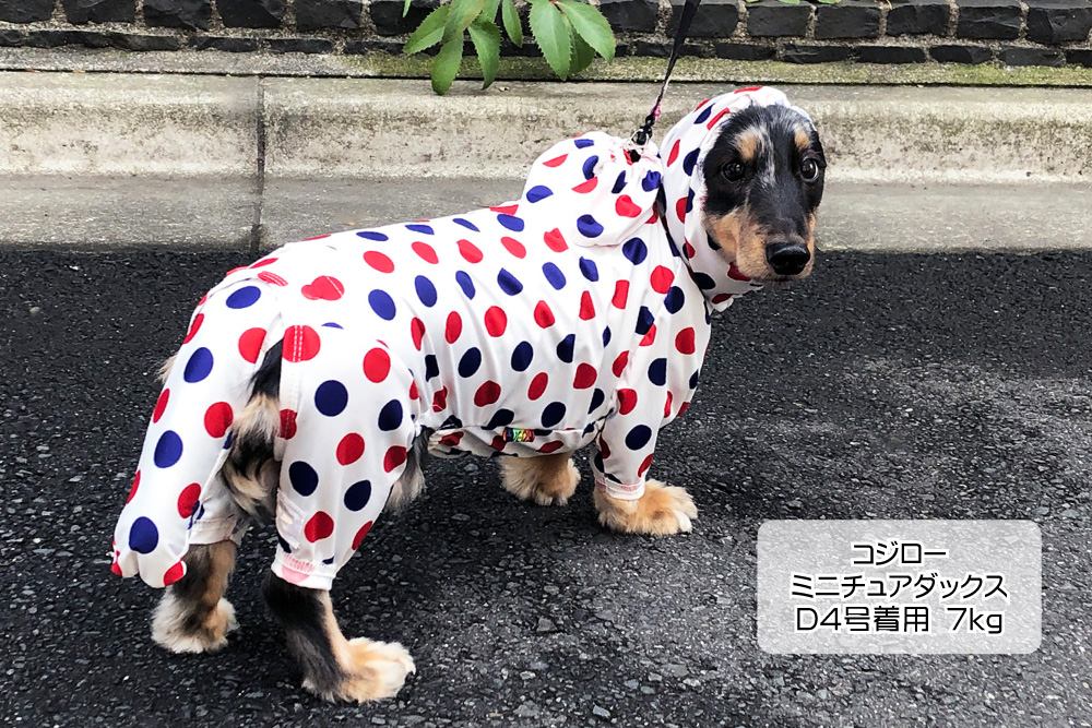f:id:harukazepc:20200626183132j:image:w650 f:id:harukazepc:20200626183132j:image:w650